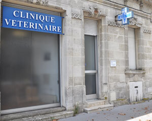 clinique-veterinaire-bordeaux-bastide